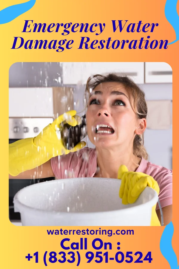 Emergency Water Damage Restoration in Willey, IA